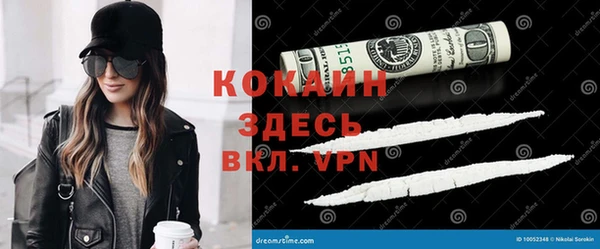 эйфоретик Няндома