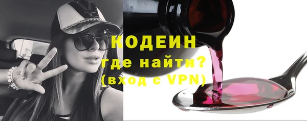 эйфоретик Няндома