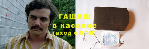 эйфоретик Няндома