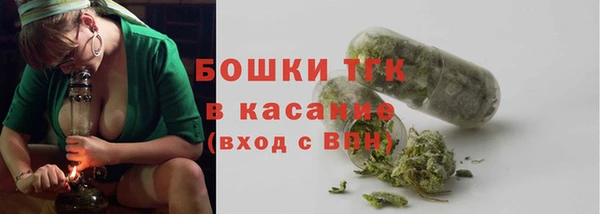 эйфоретик Няндома