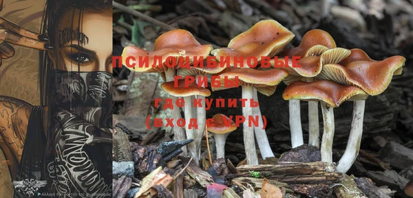 прущая мука Нягань