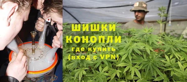 эйфоретик Няндома