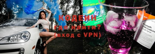 эйфоретик Няндома