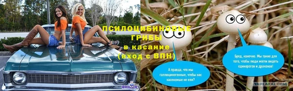 эйфоретик Няндома