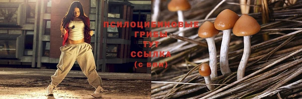 эйфоретик Няндома