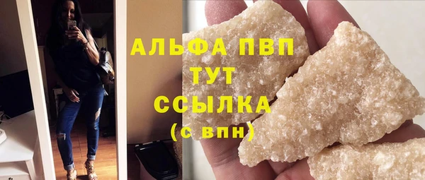 эйфоретик Няндома
